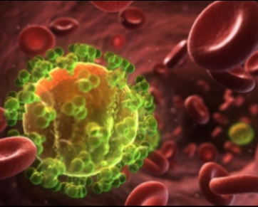 Pequisa: Teste consegue eliminar HIV de corpo de animal vivo pela 1ª vez
