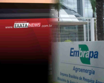 Interferência política na Embrapa coloca agro em risco, aponta site