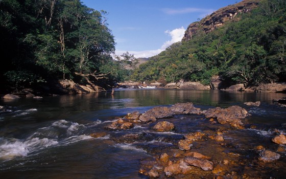 Lei pode ameaçar florestas, rios e cachoeiras típicos do Paraná