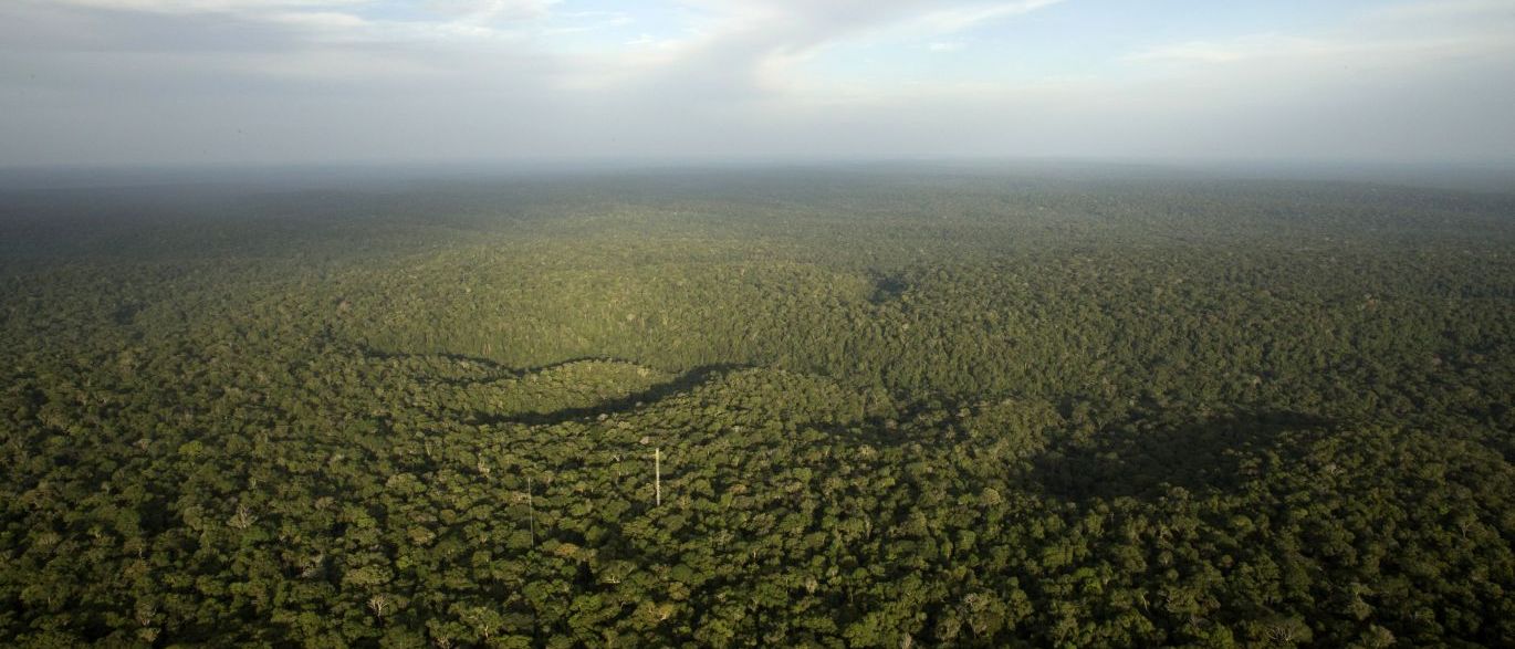 Floresta amazônica tem o maior desmatamento em nove anos