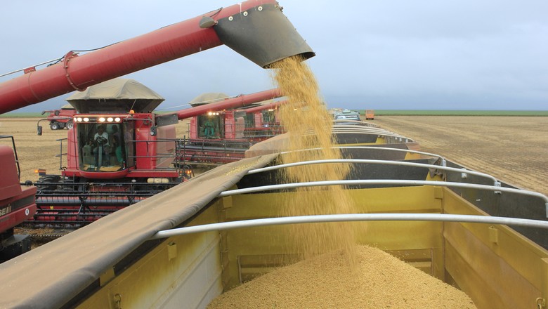 Acelerada, colheita da soja em Mato Grosso chega a 30%
