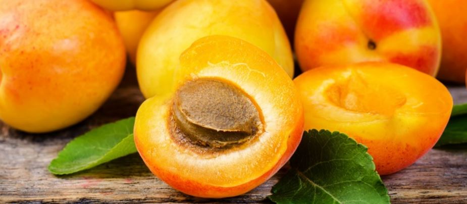 Damasco: pequena fruta, mais com enormes benefícios; conheça!