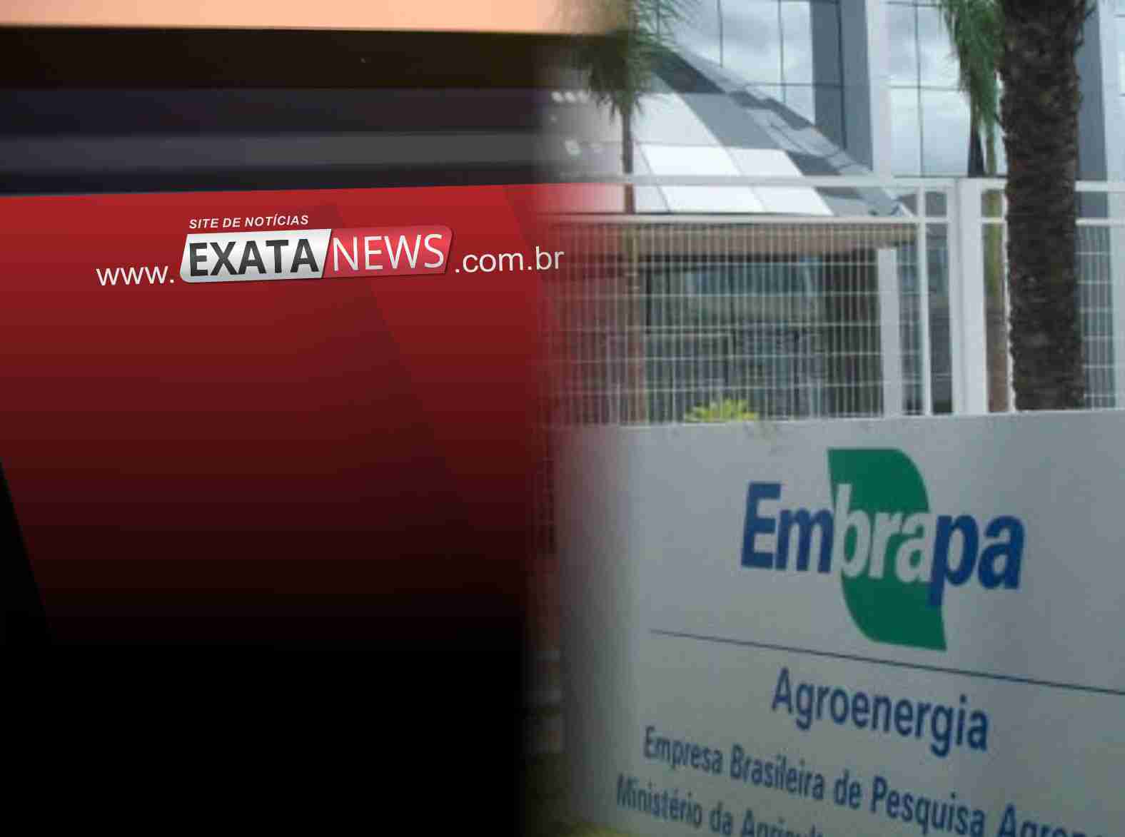 Interferência política na Embrapa coloca agro em risco, aponta site