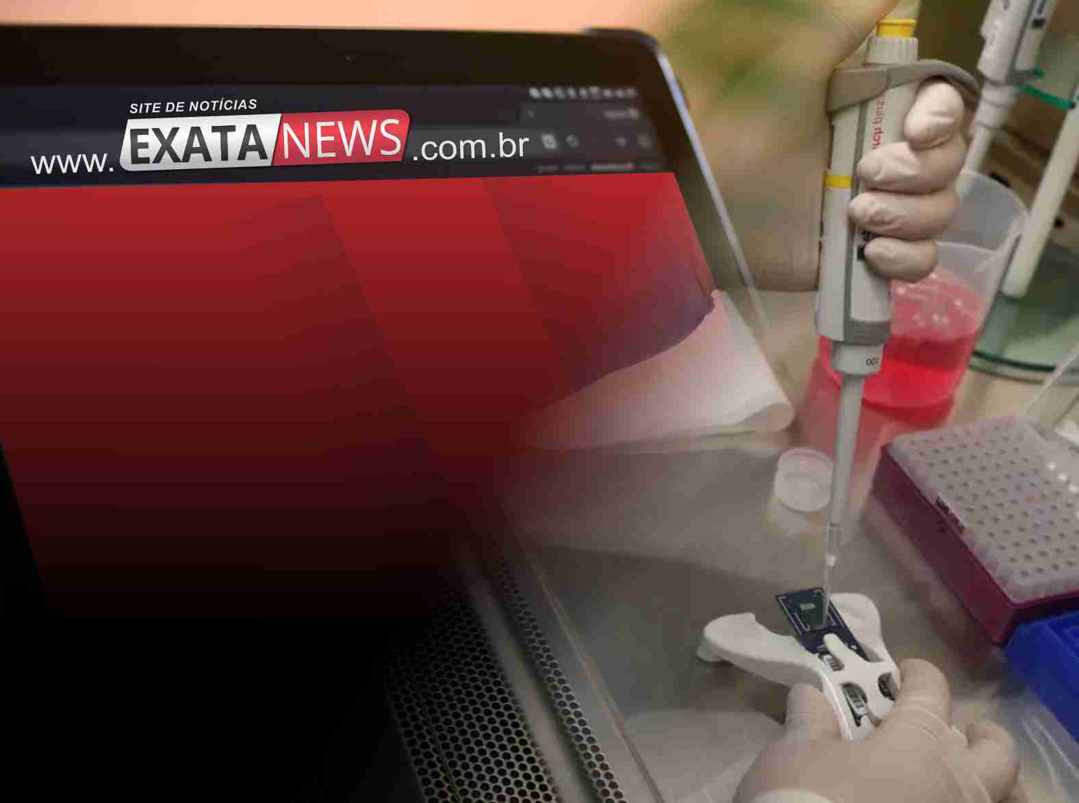 Cientista da UFRJ avança em tratamento experimental para lesões na medula