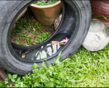 Como se proteger do Aedes no período de férias de fim de ano