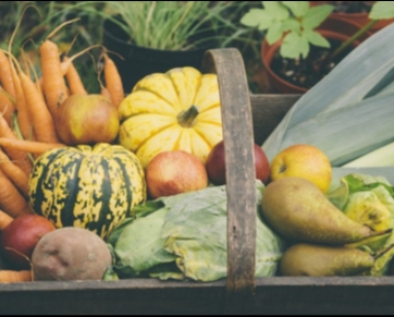 Alimentação tem papel fundamental na prevenção do câncer; saiba mais