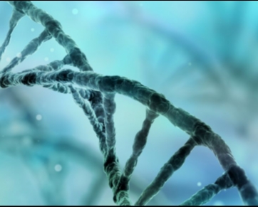 Prevenção: Cientistas criam teste capaz de mapear riscos de se ter câncer