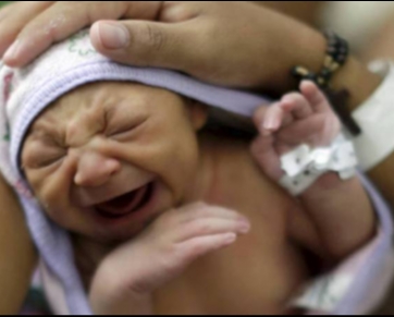 Zika afeta 5% de bebês de grávidas infectadas, diz centro dos EUA