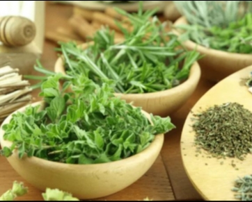 Saúde Natural: Aprenda a utilizar de forma segura as plantas medicinais
