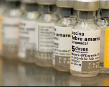 Ministério propõe vacinar toda população contra febre amarela em 2018