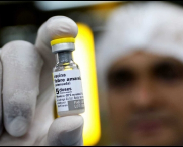Boatos podem explicar procura baixa por vacina contra febre amarela
