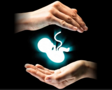 Aborto: estatísticas corretas permitem definir políticas em defesa da vida