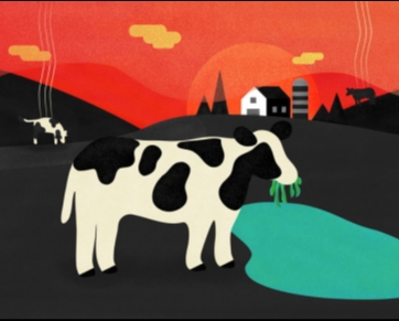 Startup de Israel produz leite sem ajuda de vacas