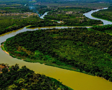 Crime ambiental no Pantanal