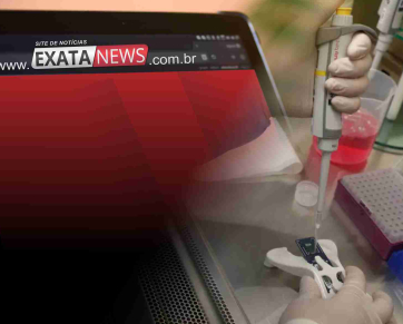 Cientista da UFRJ avança em tratamento experimental para lesões na medula